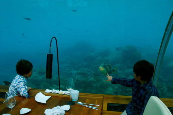 In the Ithaa underwater restaurant