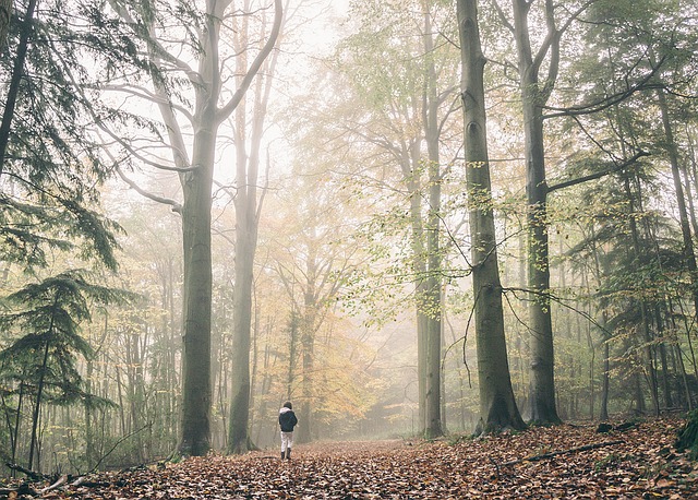 outdoor parks photo