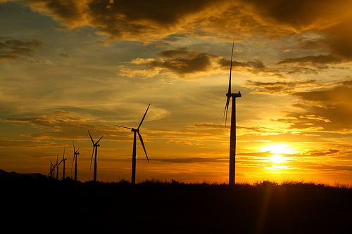 Bangui windmills photo