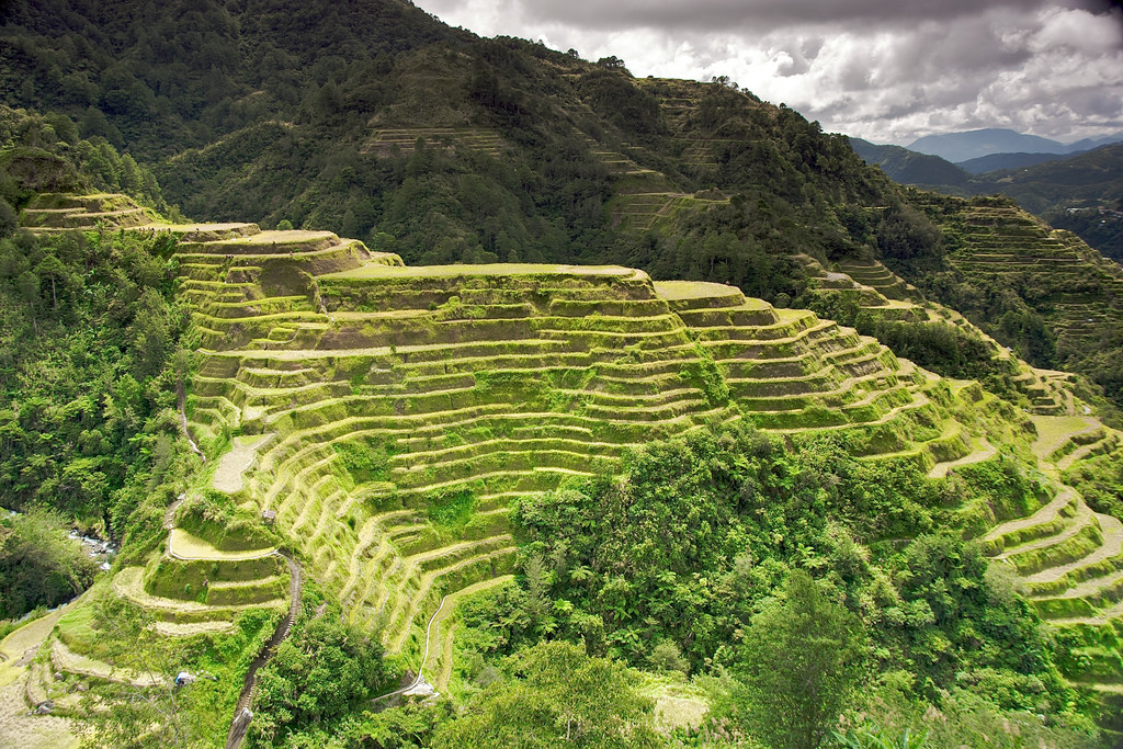 Banaue Rice Terraces photo