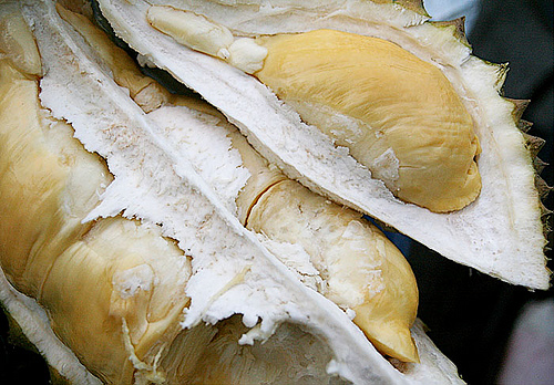 durian davao photo